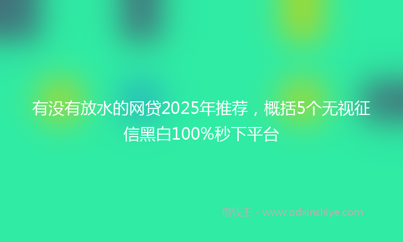 有没有放水的网贷2025年推荐，概括5个无视征信黑白100%秒下平台