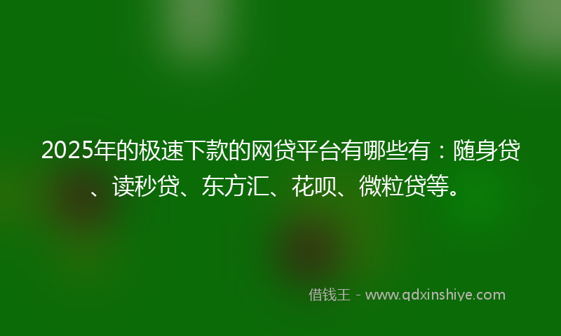 2025年的极速下款的网贷平台有哪些有：随身贷、读秒贷、东方汇、花呗、微粒贷等。