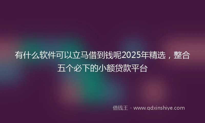 有什么软件可以立马借到钱呢2025年精选，整合五个必下的小额贷款平台