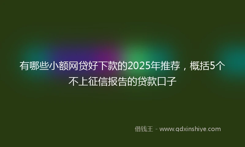 有哪些小额网贷好下款的2025年推荐，概括5个不上征信报告的贷款口子