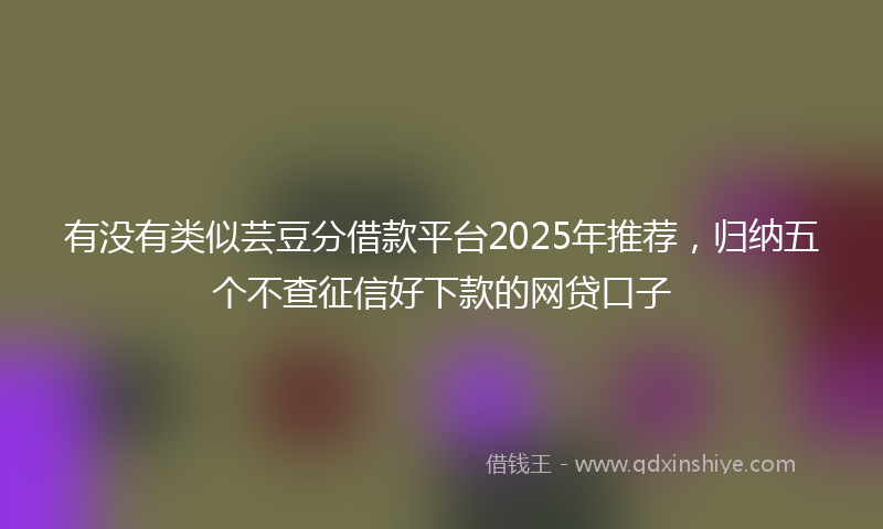 有没有类似芸豆分借款平台2025年推荐，归纳五个不查征信好下款的网贷口子