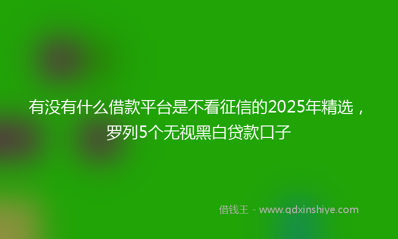 有没有什么借款平台是不看征信的2025年精选，罗列5个无视黑白贷款口子