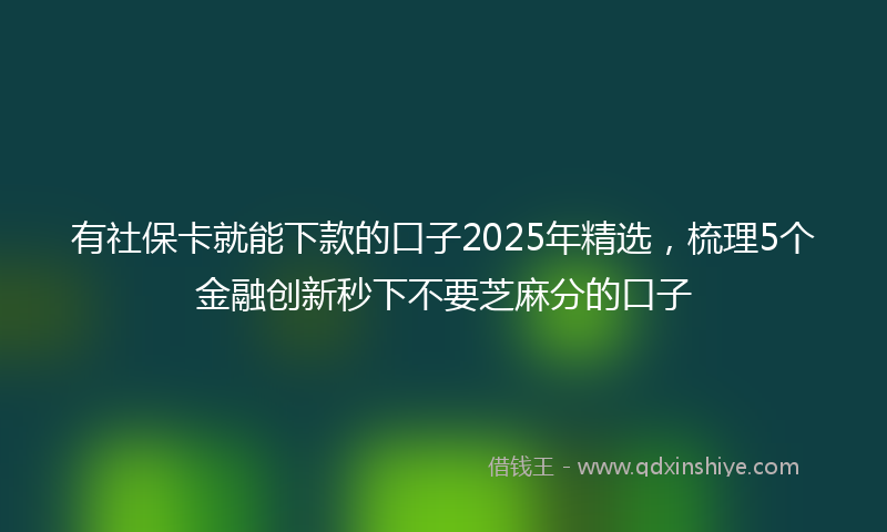 有社保卡就能下款的口子2025年精选，梳理5个金融创新秒下不要芝麻分的口子