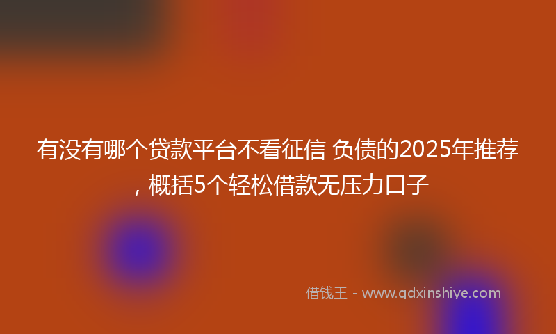 有没有哪个贷款平台不看征信 负债的2025年推荐，概括5个轻松借款无压力口子