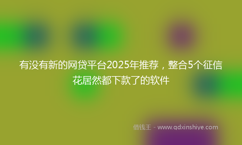 有没有新的网贷平台2025年推荐，整合5个征信花居然都下款了的软件