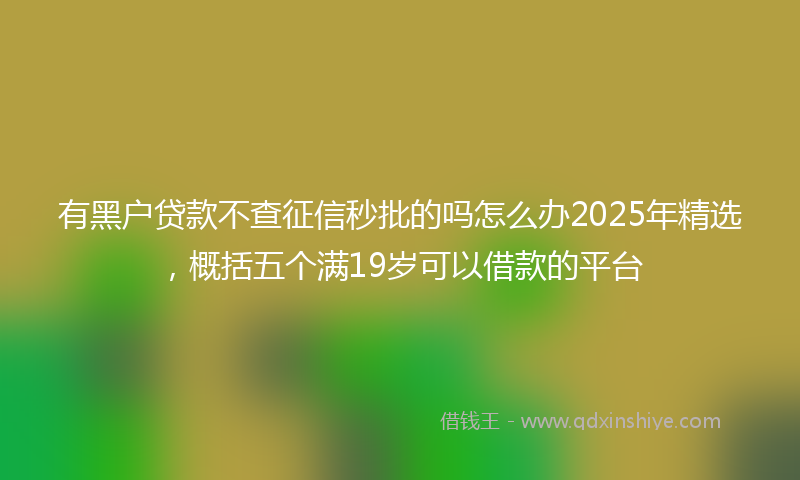 有黑户贷款不查征信秒批的吗怎么办2025年精选，概括五个满19岁可以借款的平台