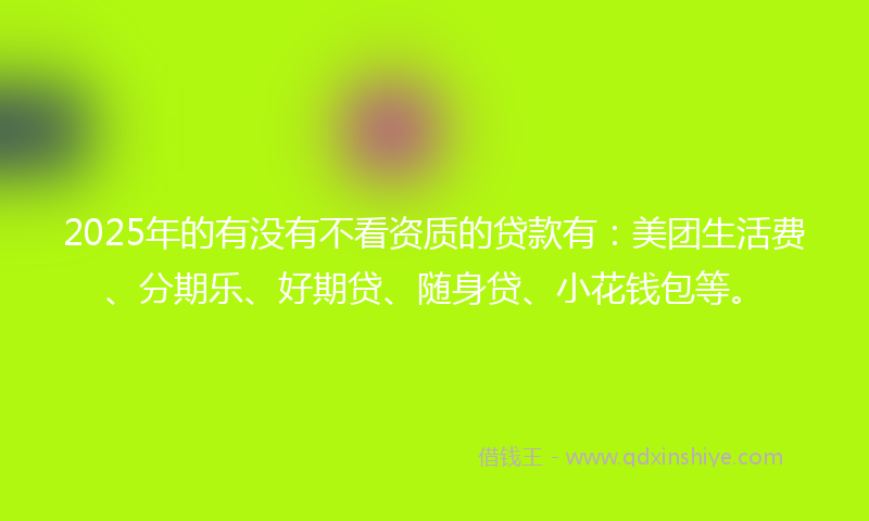 2025年的有没有不看资质的贷款有：美团生活费、分期乐、好期贷、随身贷、小花钱包等。