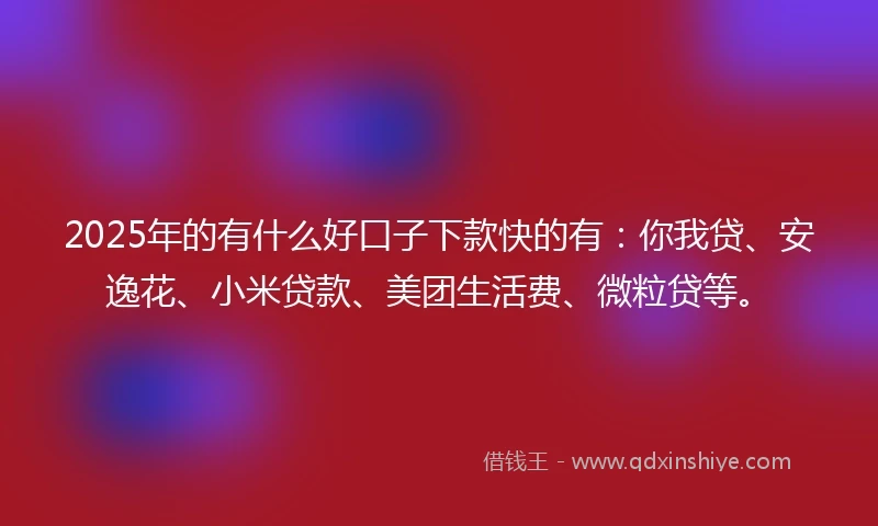 2025年的有什么好口子下款快的有：你我贷、安逸花、小米贷款、美团生活费、微粒贷等。