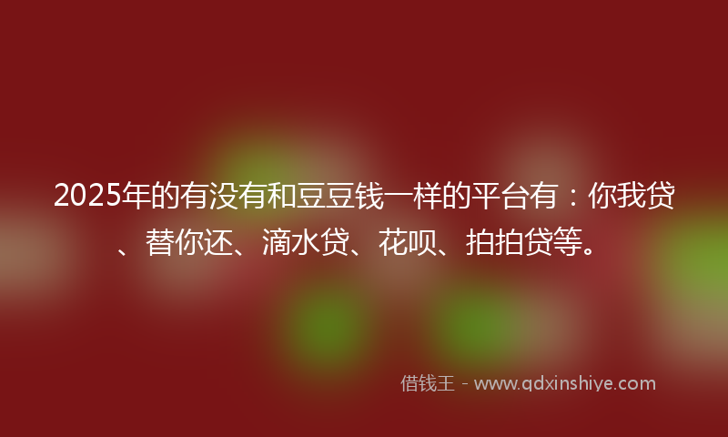 2025年的有没有和豆豆钱一样的平台有：你我贷、替你还、滴水贷、花呗、拍拍贷等。