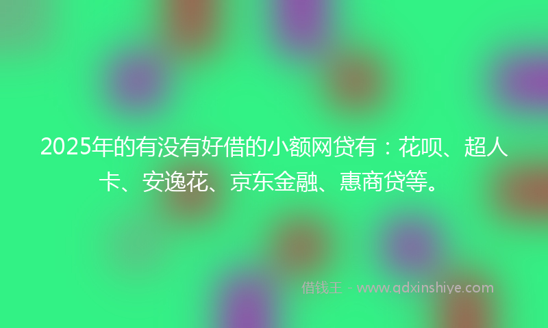 2025年的有没有好借的小额网贷有：花呗、超人卡、安逸花、京东金融、惠商贷等。