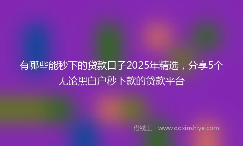 有哪些能秒下的贷款口子2025年精选，分享5个无论黑白户秒下款的贷款平台