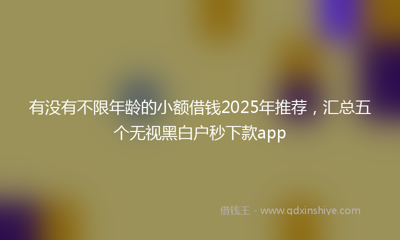 有没有不限年龄的小额借钱2025年推荐，汇总五个无视黑白户秒下款app