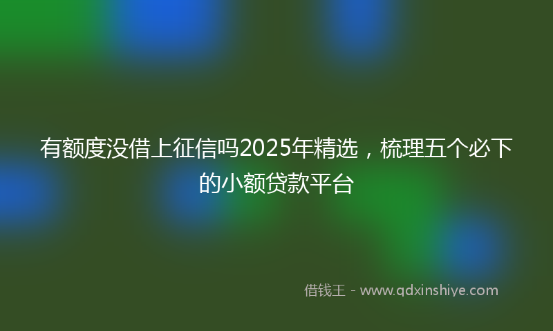 有额度没借上征信吗2025年精选，梳理五个必下的小额贷款平台