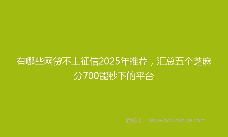 有哪些网贷不上征信2025年推荐，汇总五个芝麻分700能秒下的平台