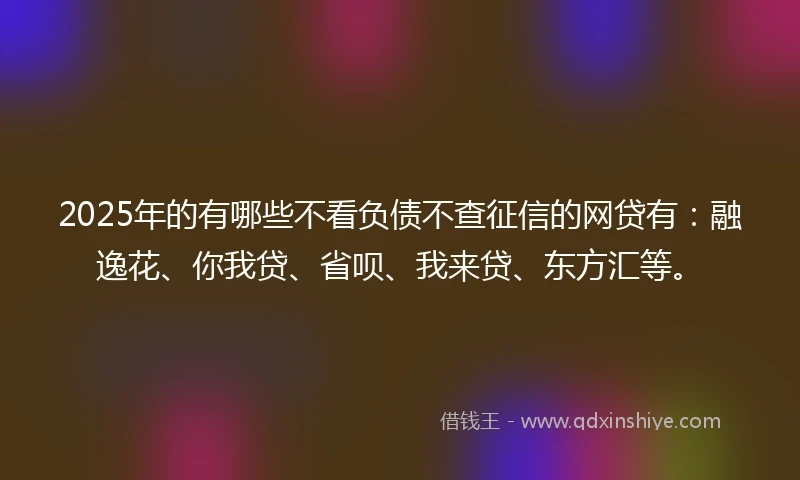 2025年的有哪些不看负债不查征信的网贷有：融逸花、你我贷、省呗、我来贷、东方汇等。