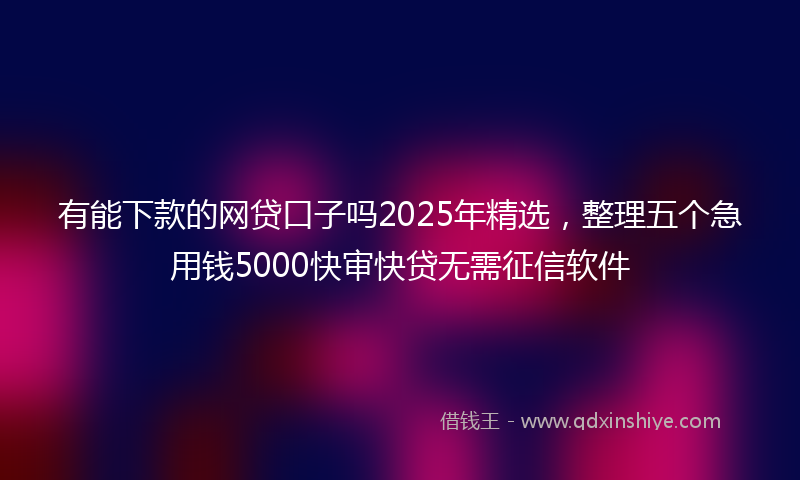 有能下款的网贷口子吗2025年精选，整理五个急用钱5000快审快贷无需征信软件