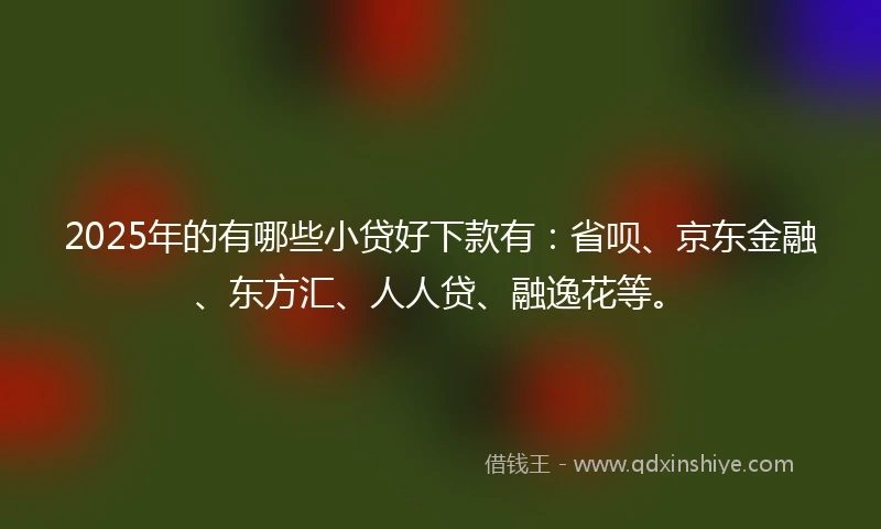 2025年的有哪些小贷好下款有：省呗、京东金融、东方汇、人人贷、融逸花等。