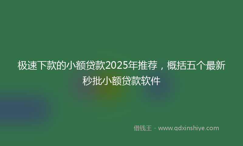 极速下款的小额贷款2025年推荐，概括五个最新秒批小额贷款软件