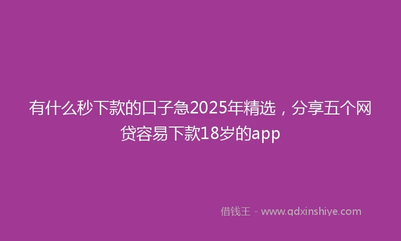 有什么秒下款的口子急2025年精选，分享五个网贷容易下款18岁的app