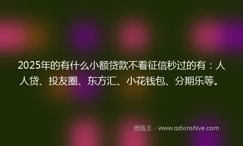 2025年的有什么小额贷款不看征信秒过的有：人人贷、投友圈、东方汇、小花钱包、分期乐等。