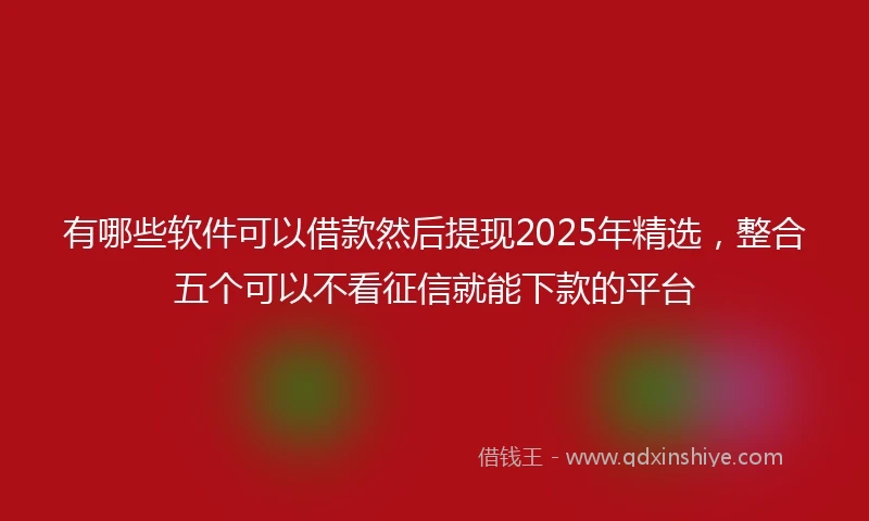 有哪些软件可以借款然后提现2025年精选，整合五个可以不看征信就能下款的平台