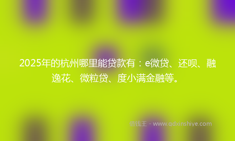 2025年的杭州哪里能贷款有：e微贷、还呗、融逸花、微粒贷、度小满金融等。