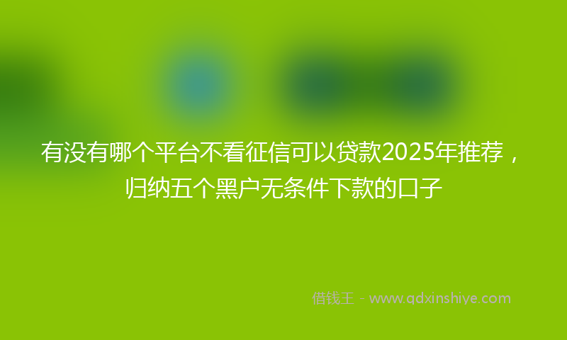 有没有哪个平台不看征信可以贷款2025年推荐，归纳五个黑户无条件下款的口子