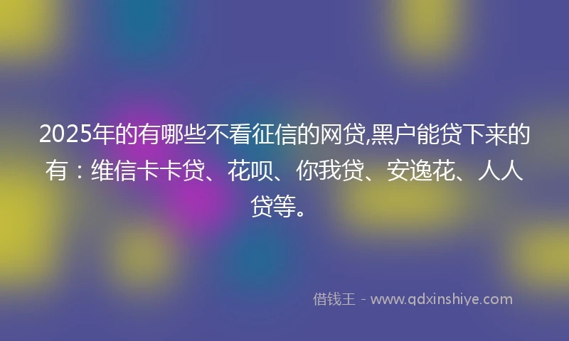 2025年的有哪些不看征信的网贷,黑户能贷下来的有：维信卡卡贷、花呗、你我贷、安逸花、人人贷等。