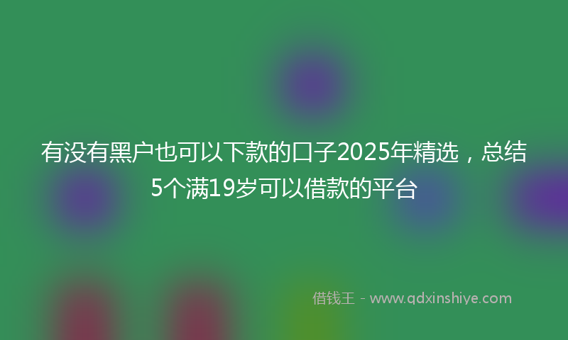 有没有黑户也可以下款的口子2025年精选，总结5个满19岁可以借款的平台