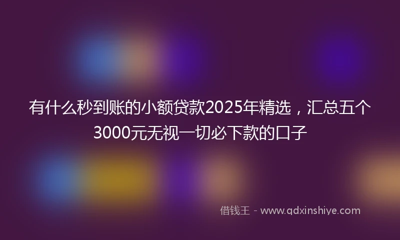 有什么秒到账的小额贷款2025年精选，汇总五个3000元无视一切必下款的口子