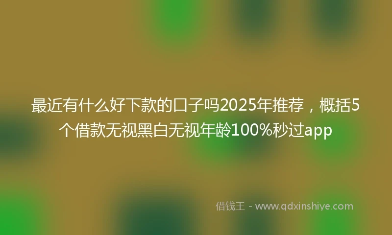 最近有什么好下款的口子吗2025年推荐,概括5个借款无视黑白无视年龄100%秒过app