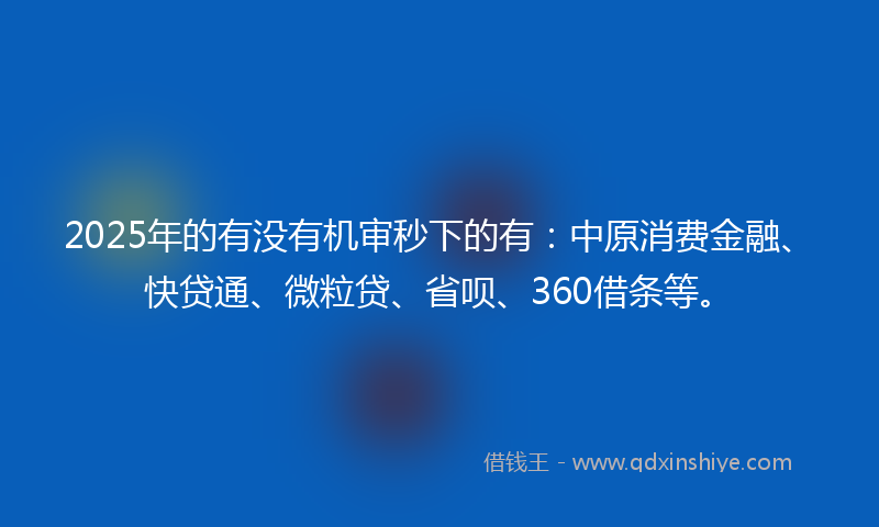 2025年的有没有机审秒下的有：中原消费金融、快贷通、微粒贷、省呗、360借条等。