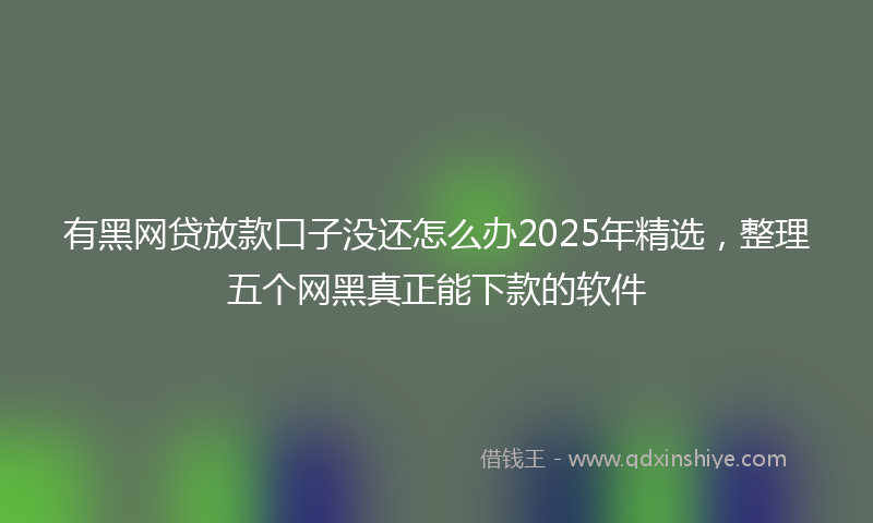 有黑网贷放款口子没还怎么办2025年精选，整理五个网黑真正能下款的软件