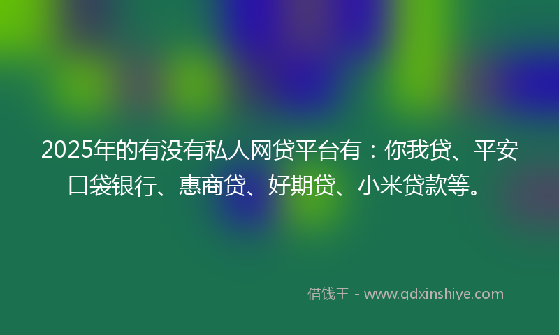 2025年的有没有私人网贷平台有：你我贷、平安口袋银行、惠商贷、好期贷、小米贷款等。