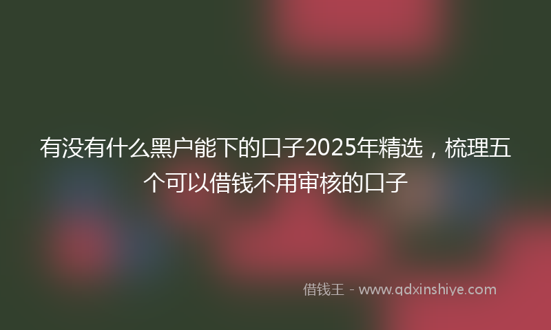 有没有什么黑户能下的口子2025年精选，梳理五个可以借钱不用审核的口子