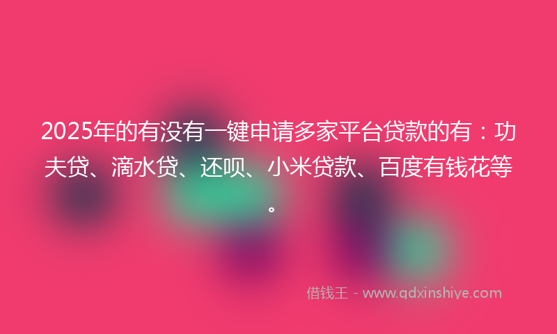 2025年的有没有一键申请多家平台贷款的有：功夫贷、滴水贷、还呗、小米贷款、百度有钱花等。