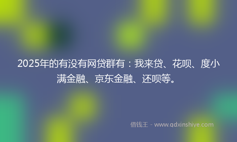 2025年的有没有网贷群有：我来贷、花呗、度小满金融、京东金融、还呗等。