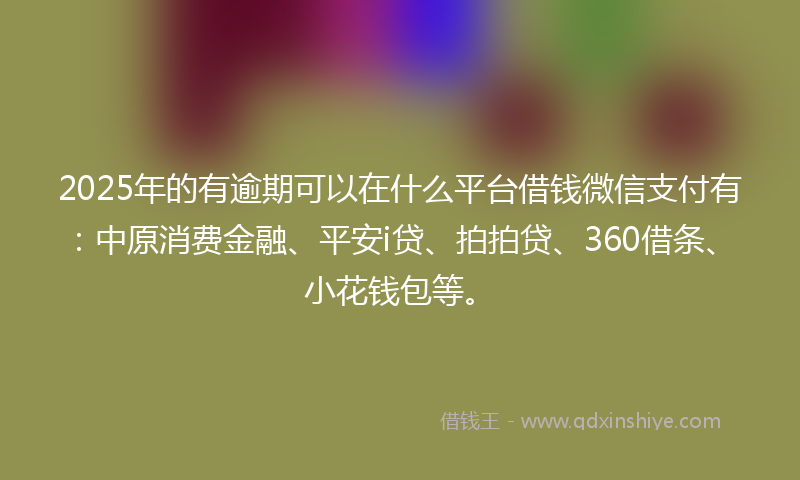 2025年的有逾期可以在什么平台借钱微信支付有：中原消费金融、平安i贷、拍拍贷、360借条、小花钱包等。