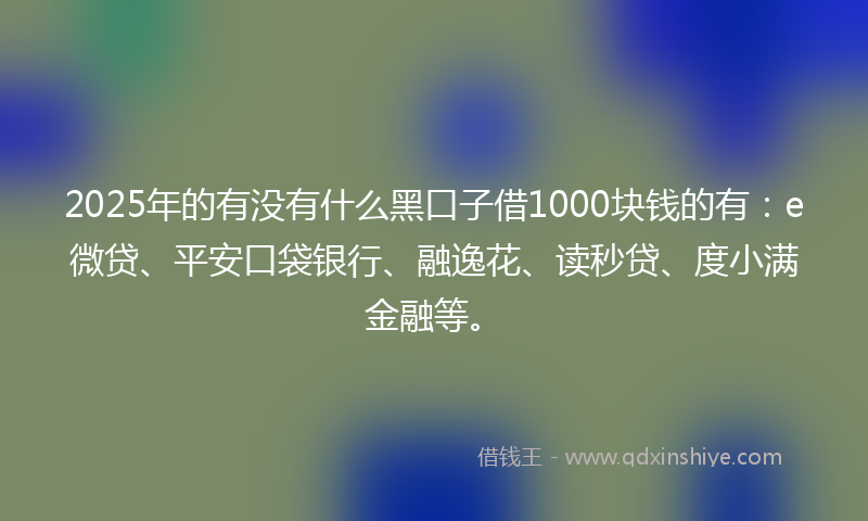 2025年的有没有什么黑口子借1000块钱的有：e微贷、平安口袋银行、融逸花、读秒贷、度小满金融等。