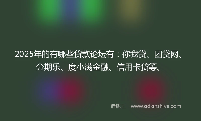2025年的有哪些贷款论坛有：你我贷、团贷网、分期乐、度小满金融、信用卡贷等。