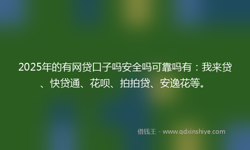 2025年的有网贷口子吗安全吗可靠吗有：我来贷、快贷通、花呗、拍拍贷、安逸花等。