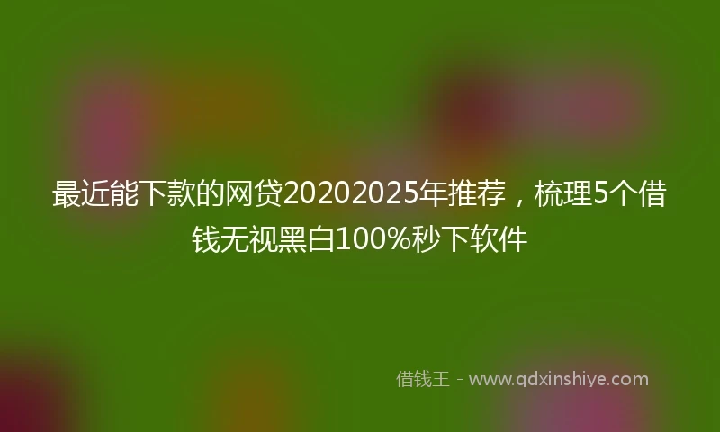 最近能下款的网贷20202025年推荐，梳理5个借钱无视黑白100%秒下软件