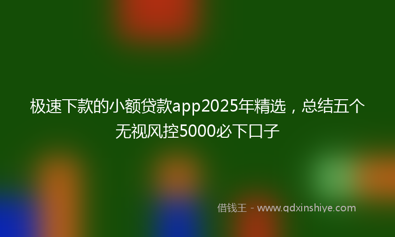 极速下款的小额贷款app2025年精选，总结五个无视风控5000必下口子