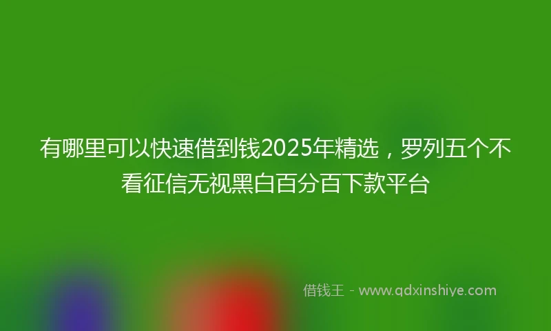 有哪里可以快速借到钱2025年精选，罗列五个不看征信无视黑白百分百下款平台