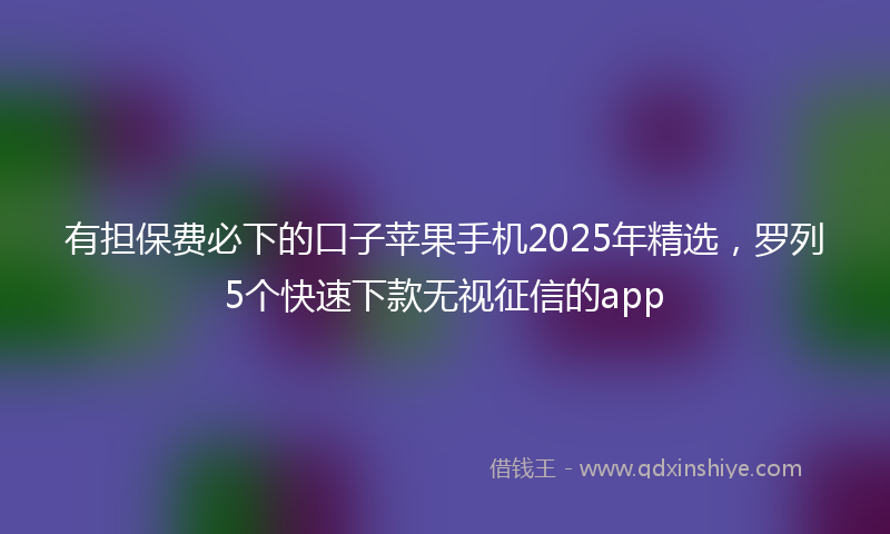 有担保费必下的口子苹果手机2025年精选，罗列5个快速下款无视征信的app