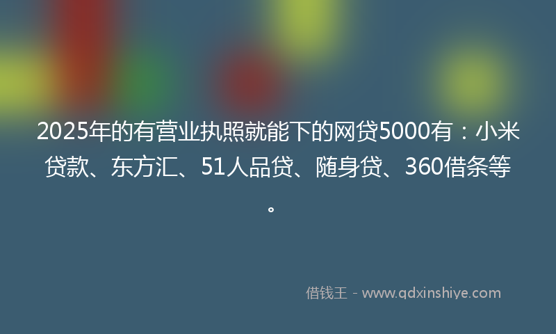 2025年的有营业执照就能下的网贷5000有：小米贷款、东方汇、51人品贷、随身贷、360借条等。