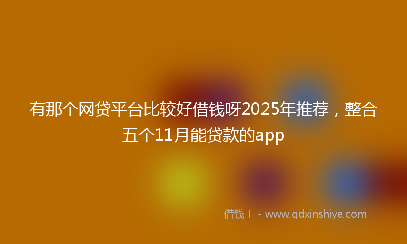 有那个网贷平台比较好借钱呀2025年推荐，整合五个11月能贷款的app