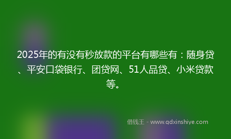 2025年的有没有秒放款的平台有哪些有：随身贷、平安口袋银行、团贷网、51人品贷、小米贷款等。