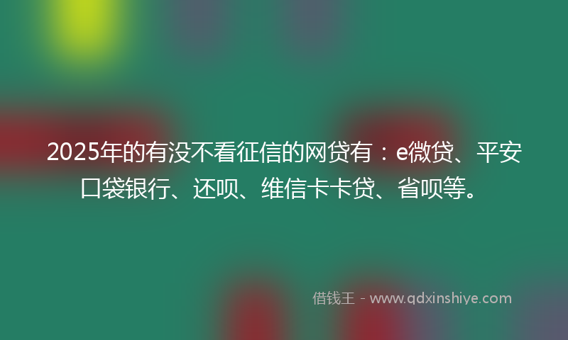 2025年的有没不看征信的网贷有：e微贷、平安口袋银行、还呗、维信卡卡贷、省呗等。