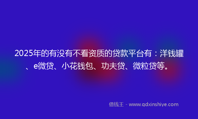 2025年的有没有不看资质的贷款平台有：洋钱罐、e微贷、小花钱包、功夫贷、微粒贷等。